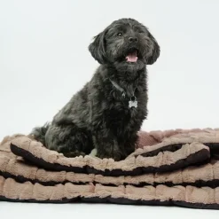 Ollipet Cozy dream madras