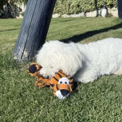 Ollipet Cute Little Tiger