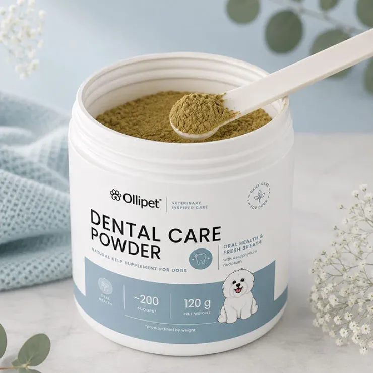 Ollipet Dental Care Powder | 150g