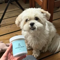 Ollipet dental finger wipes | 50 stk