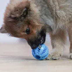 Ollipet Dentaplay hundebold | 5 cm