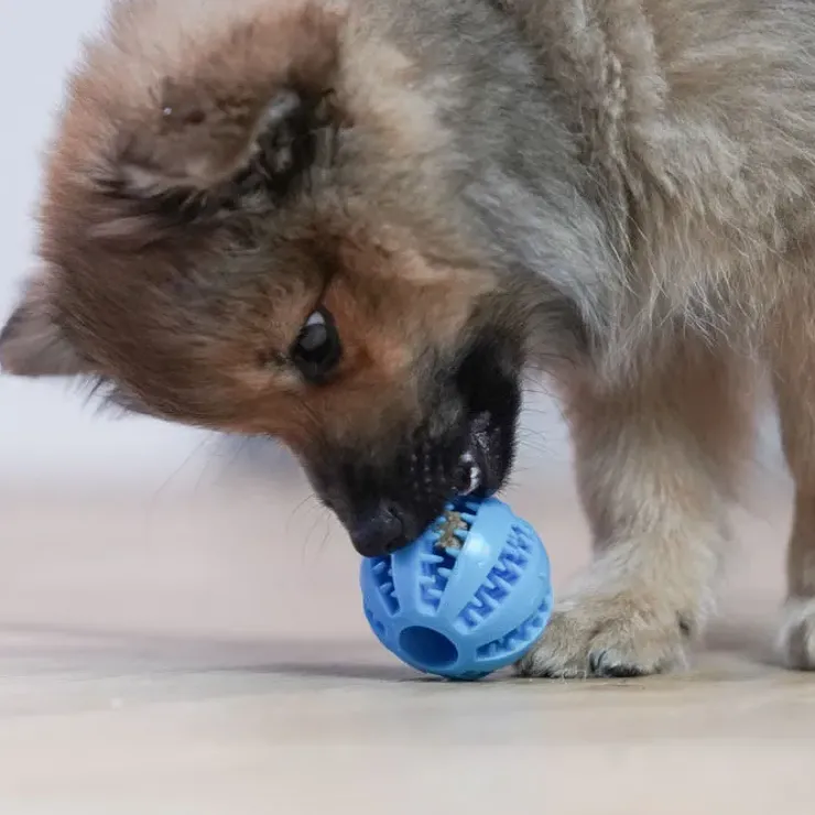 Ollipet Dentaplay hundebold | 5 cm