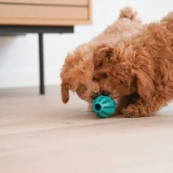 Ollipet Dentaplay turbo hundelegetøj