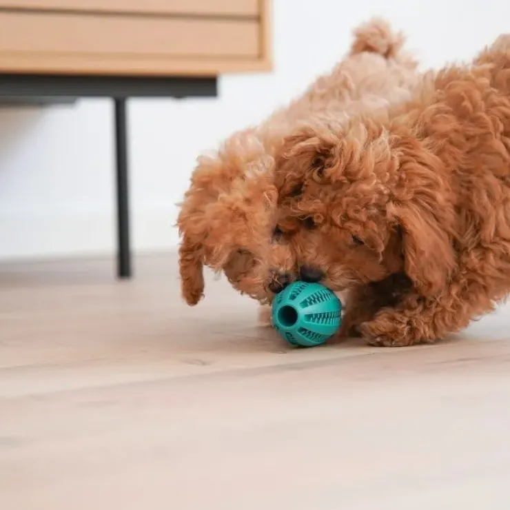Ollipet Dentaplay turbo hundelegetøj