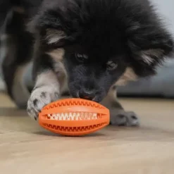 Ollipet Dentaplay turbo hundelegetøj
