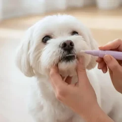 Ollipet DentaSolo hundetandbørste | M. tandpasta