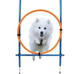 Ollipet DogFit Agility | Hurdle Jump Ring