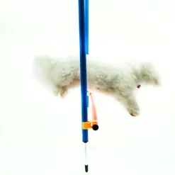 Ollipet DogFit Agility Serie Hurdle Jump
