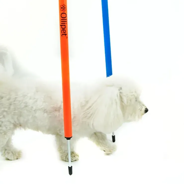 Ollipet DogFit Agility | Slalompinde | 12 stk.