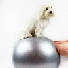 Ollipet DogFit Air | Balance Ball