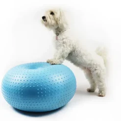Ollipet DogFit Air - Balance Donut