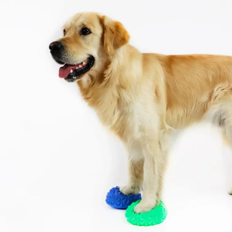 Ollipet DogFit Air Serie - Balancepude