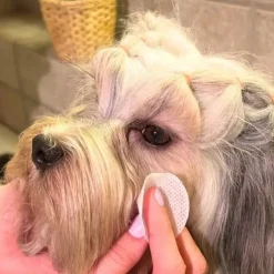 Ollipet Dog tear cleaning pads