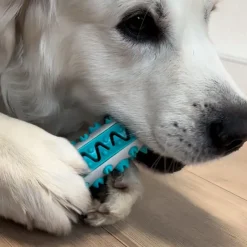 Ollipet dog toothbrush activity stick