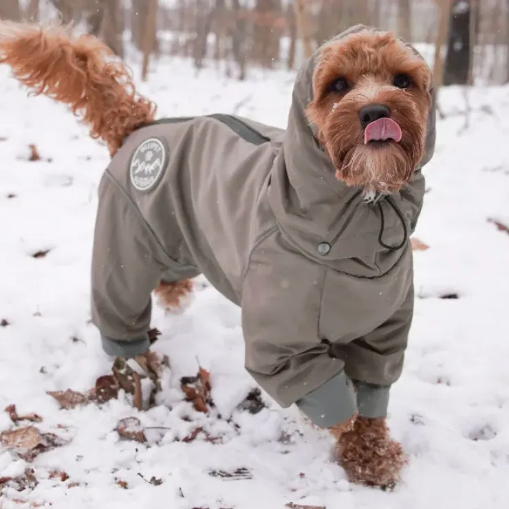Ollipet Doodle rain coat