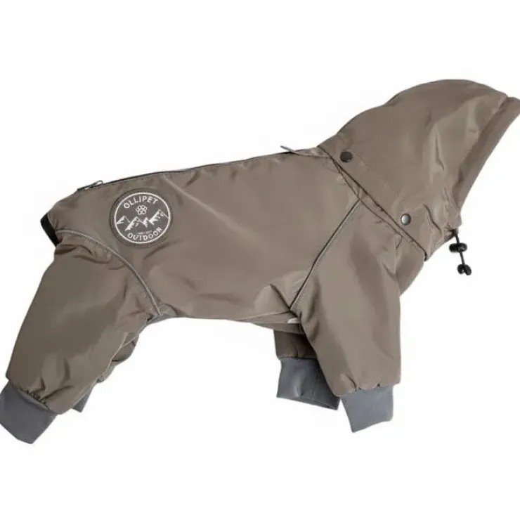 Ollipet Doodle rain coat