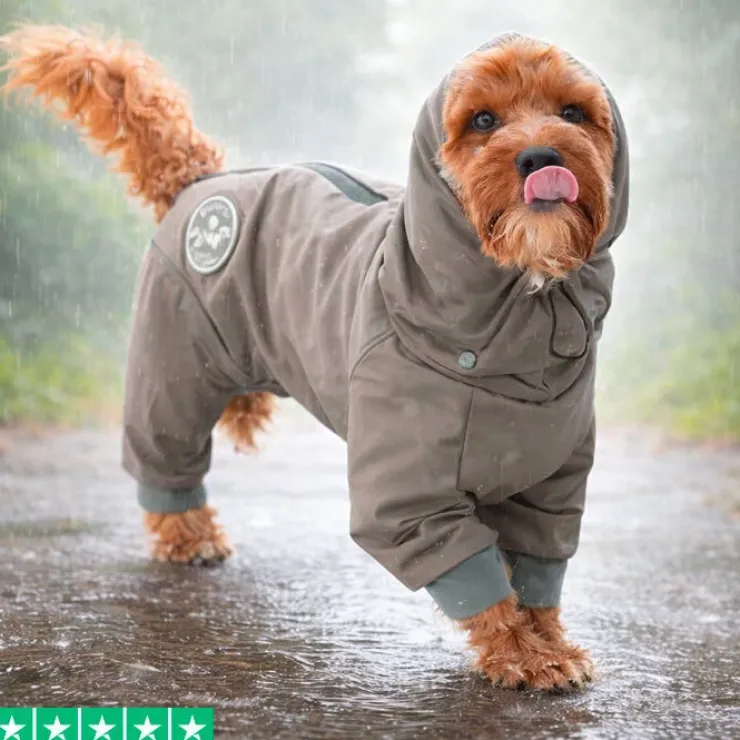 Ollipet Doodle rain coat