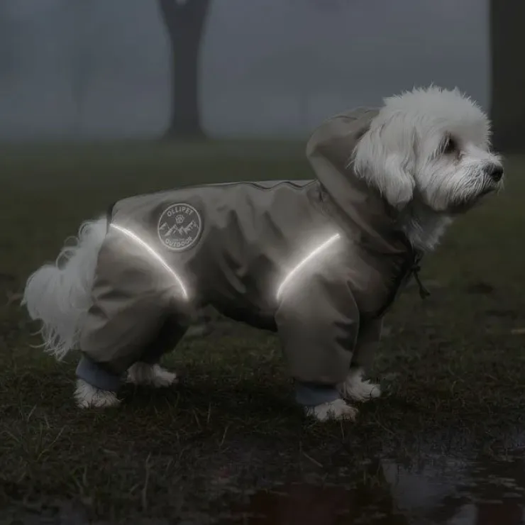 Ollipet Doodle rain coat