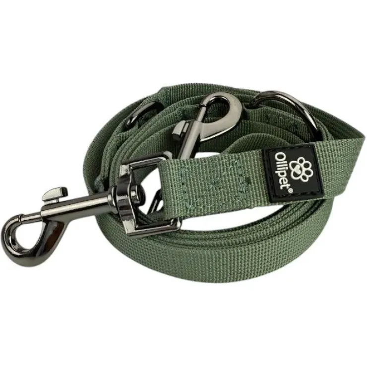 Ollipet | Dressurline