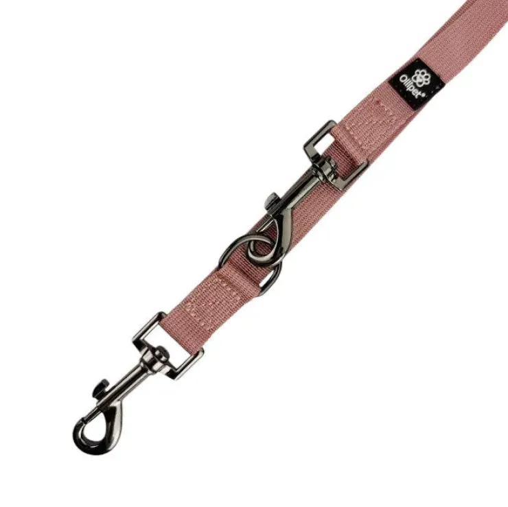 Ollipet | Dressurline
