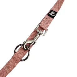 Ollipet | Dressurline
