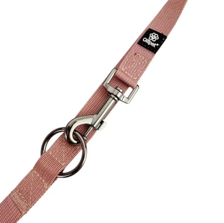 Ollipet | Dressurline