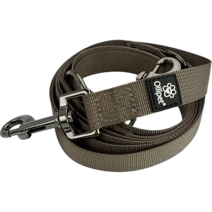 Ollipet | Dressurline