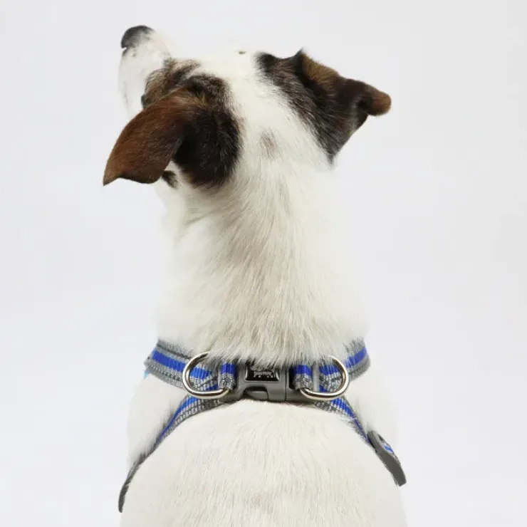 Ollipet Duomm Air mesh Step-In sele | OUTLET