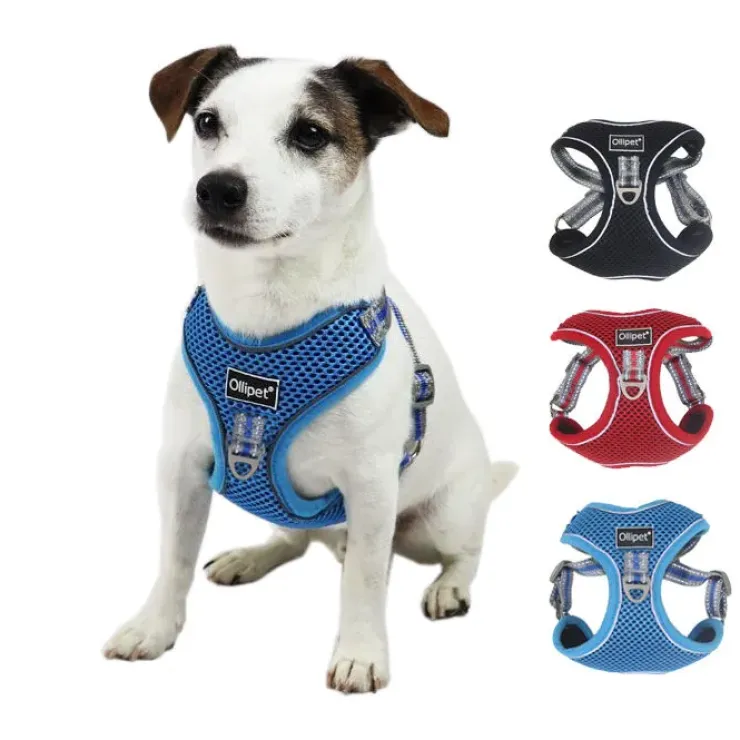 Ollipet Duomm Air mesh Step-In sele | OUTLET
