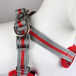Ollipet Duomm Air mesh Step-In sele | OUTLET