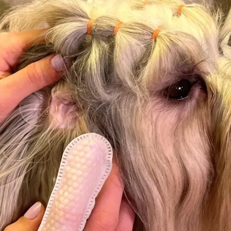 Ollipet Ear Finger Wipes