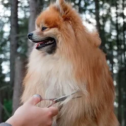Ollipet Exclusive groomingsaks 5,5