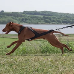 Ollipet Fast Runner Træksele