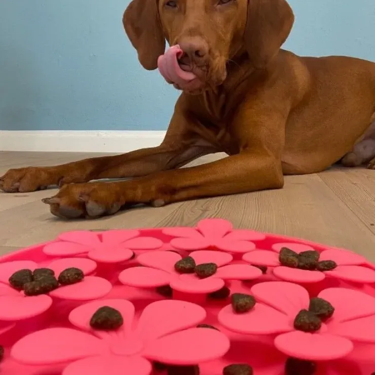 Ollipet Flip Flower Slikkemåtte