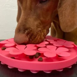 Ollipet Flip Flower Slikkemåtte