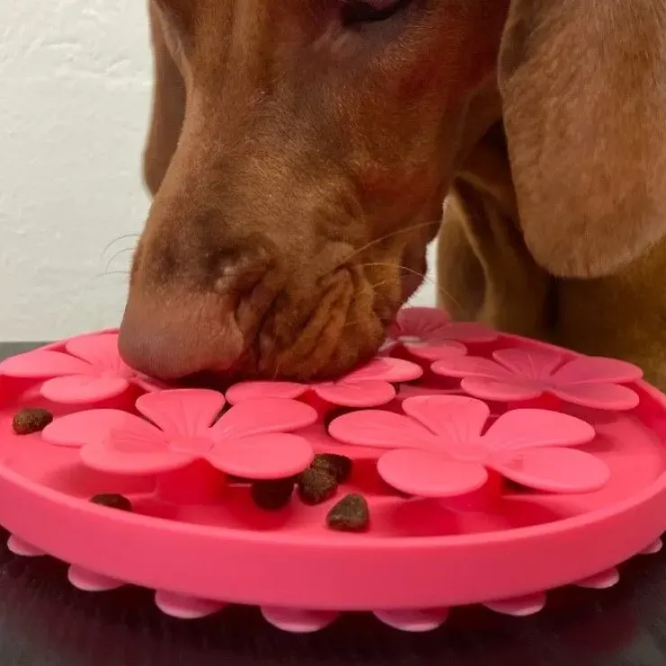 Ollipet Flip Flower Slikkemåtte