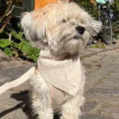 Ollipet Flora Bandana