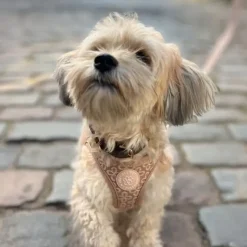 Ollipet Flora Step-in hundesele