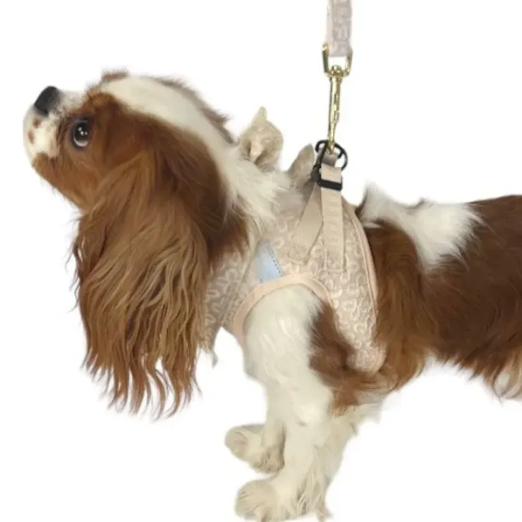 Ollipet Flora Step-in hundesele