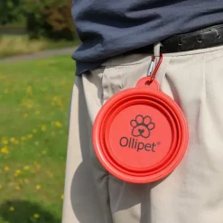 Ollipet Foldbar Vandskål | OUTLET