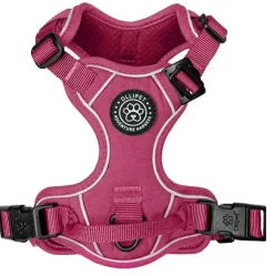 Ollipet For Wagging Tails | Adventure Hundesele 2.0