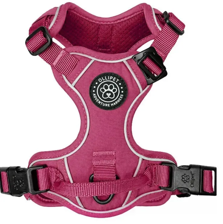 Ollipet For Wagging Tails | Adventure Hundesele 2.0