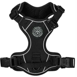 Ollipet For Wagging Tails | Adventure Hundesele 2.0
