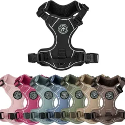 Ollipet For Wagging Tails | Adventure Hundesele 2.0