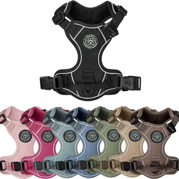 Ollipet For Wagging Tails | Adventure Hundesele 2.0