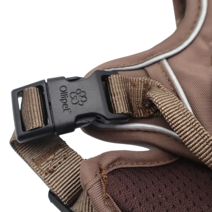 Ollipet For Wagging Tails | Adventure Hundesele 2.0