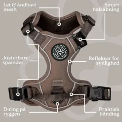 Ollipet For Wagging Tails | Adventure Hundesele 2.0