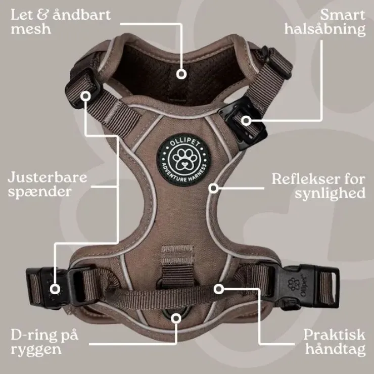 Ollipet For Wagging Tails | Adventure Hundesele 2.0