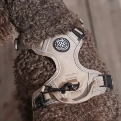 Ollipet For Wagging Tails | Adventure Hundesele 2.0