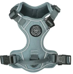 Ollipet For Wagging Tails | Adventure Hundesele 2.0